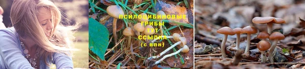 экстази Богданович