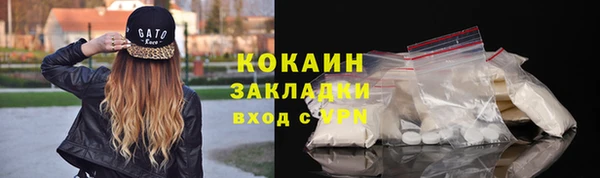 СК Богородск