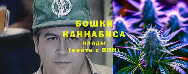 СК Богородск