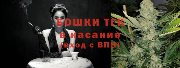 СК Богородск