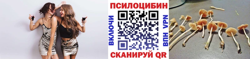 Псилоцибиновые грибы Cubensis  магазин продажи наркотиков  Реутов 