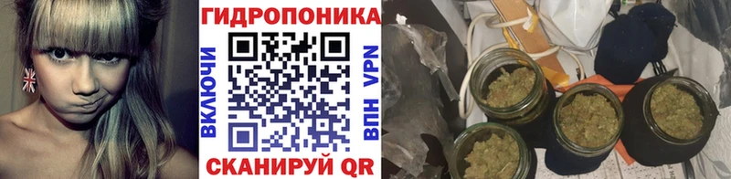 Конопля Ganja Реутов
